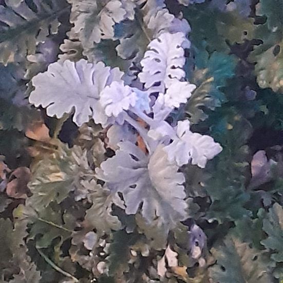 C&oelig;ur d&rsquo;hiver.