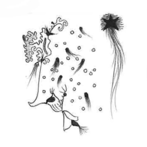 Aux sources de l&rsquo;enfance